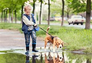 HOW LONG SHOULD YOU WALK YOUR DOG EVERY DAY?