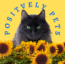 Paws of Ability