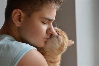 The Best Comfort Pet For Kids Who Don’t Speak