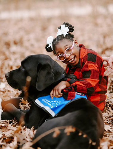 How To Best Train Your Family Dog Into A Comfort Pet