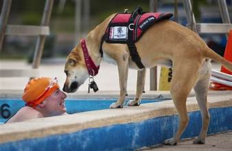 man swimming w dog