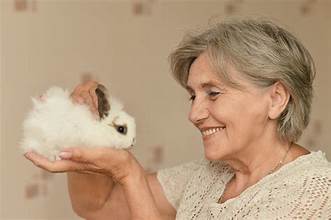 🐇 Why Rabbits Make Great Companions For Seniors